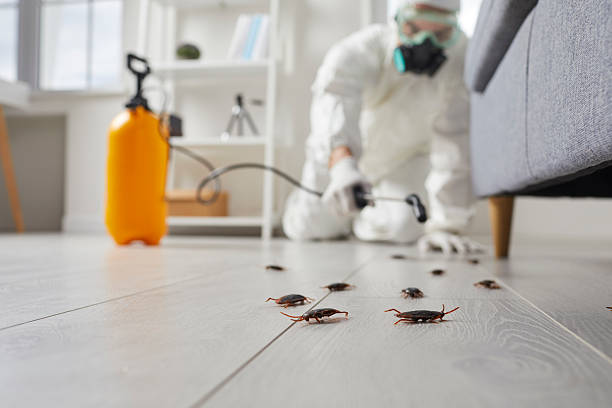 Commercial Kitchen Cockroach Control in East Meadow